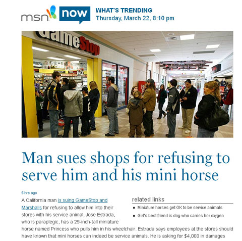 Horse as Service Animal